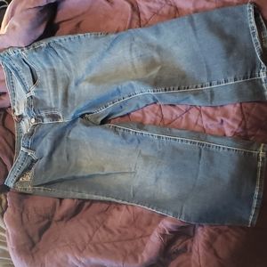 Earl brand jeans plus size 22w